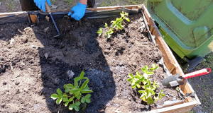 Fenntarthatósági témahét 2026