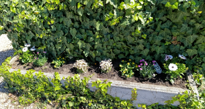 Fenntarthatósági témahét 2026