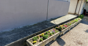 Fenntarthatósági témahét 2026