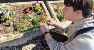 Fenntarthatósági témahét 2026